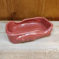 Pantry Jose Gourmet Conservas Ceramic