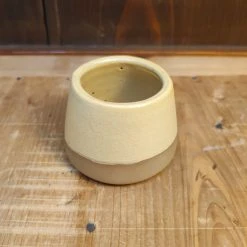 Hot Sale 🔔 Millet & 🔨 Hammer Matchstick / Toothpick / Succulent Holder ✔️ 7 Millet & Hammer Matchstick / Toothpick / Succulent Holder