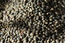 Rancho Gordo - French Style Green Lentils - 1lb