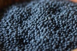 Rancho Gordo Black Caviar Lentils - 1lb