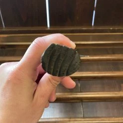 Brand new ๐ Nakajo Kaji-bei 165mm Nakiri Iron Clad Aogami 2 Suminagashi Kurouchi Buffalo Horn Ring โญ 15 Nakajo Kaji-bei 165mm Nakiri Iron Clad Aogami 2 Suminagashi Kurouchi Buffalo Horn Ring