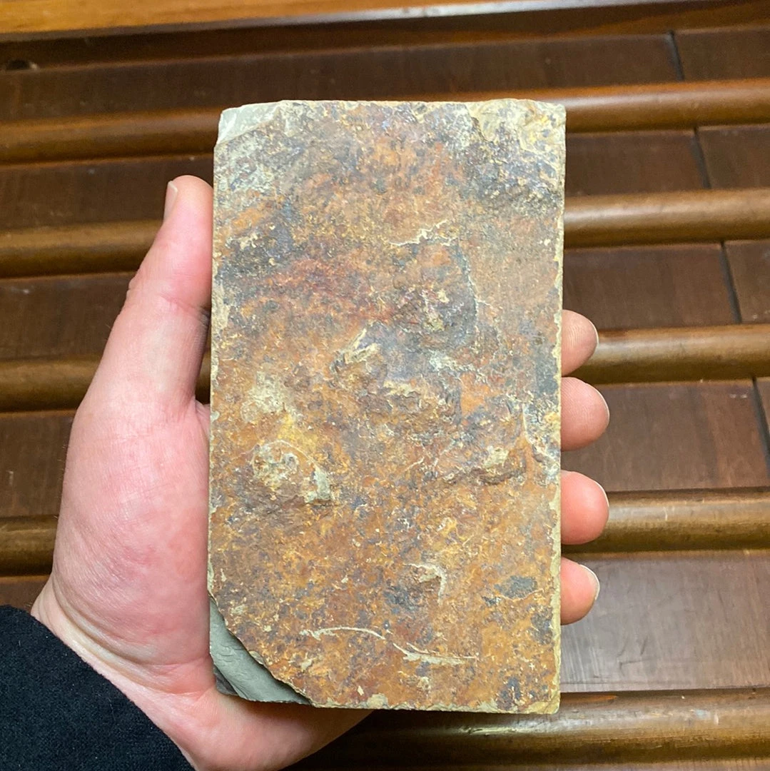 Wholesale ๐งจ Imanishi Ozuku Koppa Hard Fine Mirror Polish Razor & Fine Finish Knife Stone LV4.5-5 Hard LV4.5-5 Fine Honyama 749 Grams 145x83x24mm ๐ 4 Imanishi Ozuku Koppa Hard Fine Mirror Polish Razor & Fine Finish Knife Stone LV4.5-5 Hard LV4.5-5 Fine Honyama 749 Grams 145x83x24mm