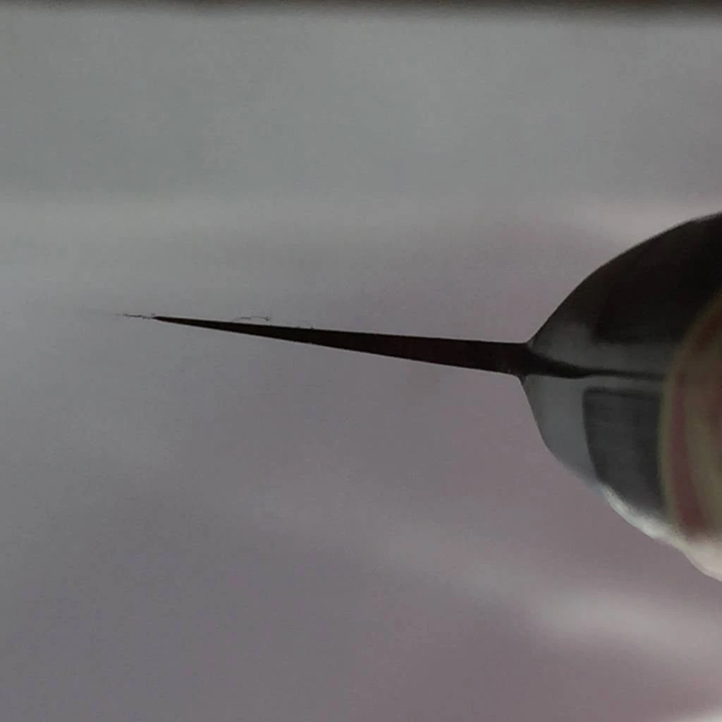 Flash Sale ✔️ Sakai Kikumori Nihonkou 150mm Petty Carbon Steel 🔔 6 Sakai Kikumori Nihonkou 150mm Petty Carbon Steel