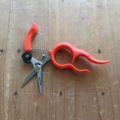 Nakajo Saboten Harvest Shear Stainless