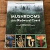 Ingram Accessories Mushrooms Of The Redwood Coast - Siegel & Schwarz