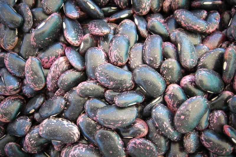 Best Pirce 🔥 Rancho Gordo Scarlet Runner Beans - 1lb Pantry 💯 5 Rancho Gordo Scarlet Runner Beans - 1lb Pantry